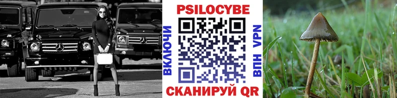 Галлюциногенные грибы Psilocybine cubensis  Купить закладки  Кудымкар 